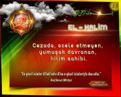 3c2ux77q.webp