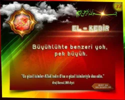 yvfy5aol.webp