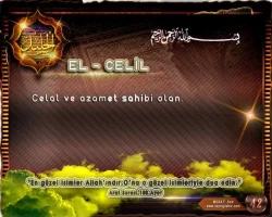 yz5mf4ya.webp