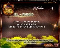 jlb7izyr.webp