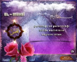 ibzbebj9.webp