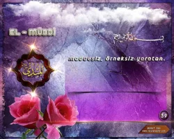 yb7wn7xd.webp