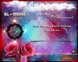 5ekk4cq9.webp