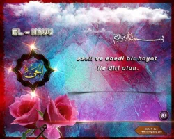 hldn9blv.webp