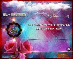 elu835yp.webp