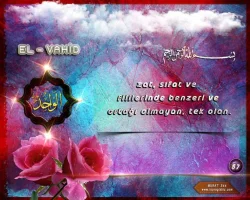 e6cft952.webp