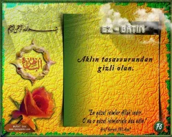 mly98ywn.webp