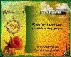kyjnc5vz.webp