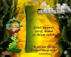 zdk6wm8z.webp
