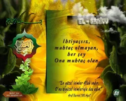 2haqvzkr.webp
