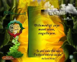 fsmamzrm.webp