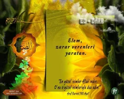 osi5bm32.webp