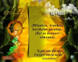 serqob8b.webp