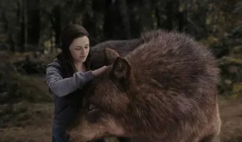 twilight-12_zpswekqywwh.webp