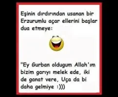 TtEKhReNFJ68Qojxq0kPAb4lmipqioKjtqfJZakbuVFU6FlBhR.webp