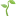 1f331.webp