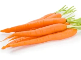 233_4.webp