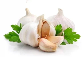 233_6.webp