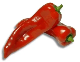 233_7.webp