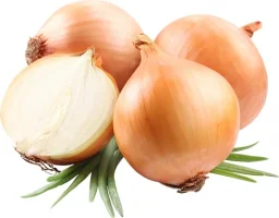 233_14.webp