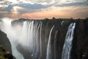 victoria_selalesi_2.webp