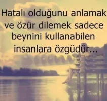 1613758b1526e72024b3bdafc140d3cb--facebook.webp