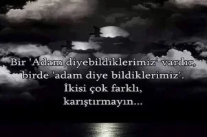 images-20.webp