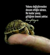 Screenshot_20171109-164810_1.webp