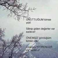 images-20.webp