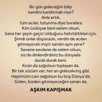 2768aefae0a5d8565f65badec3de43.webp