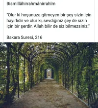 Screenshot_20171113-025119_1.webp