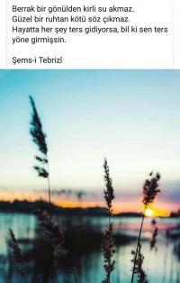Screenshot_20171113-023949_1.webp