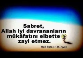 FB_IMG_1510534246851.webp