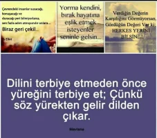 Screenshot_20171117-225633_1.webp