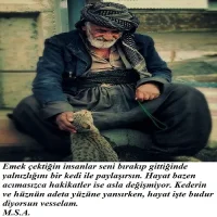 88a392dab0fed4616f967aa9210f1f15.webp