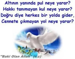 O0bl_X5.webp