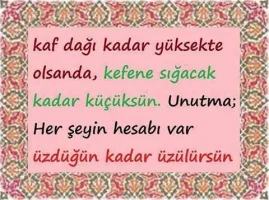 119626.webp