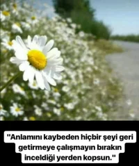 Screenshot_20171122-233100_1.webp