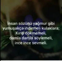 Screenshot_20171120-033801_1.webp