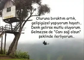 Screenshot_20171128-000535_1.webp