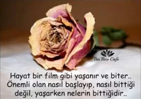 Screenshot_20171128-000344_1.webp