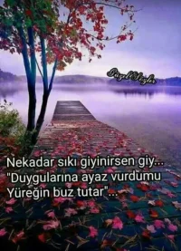 Screenshot_20171214-174457_1.webp